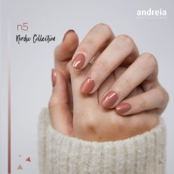 ESMALTE GEL PERMANENTE ANDREIA N5