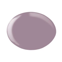 ESMALTE GEL PERMANENTE ANDREIA Nº258