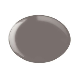 ESMALTE GEL PERMANENTE ANDREIA Nº279