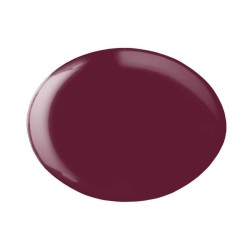 ESMALTE GEL PERMANENTE ANDREIA Nº297