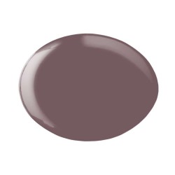 ESMALTE GEL PERMANENTE ANDREIA Nº305