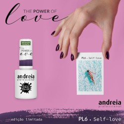 ESMALTE GEL PERMANENTE ANDREIA PL6