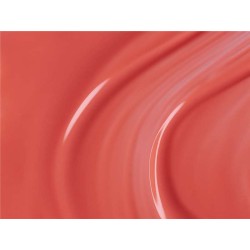 ESMALTE ANDREIA G17 NO SOLVENTS