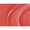 ESMALTE ANDREIA G17 NO SOLVENTS
