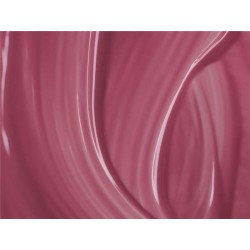 ESMALTE ANDREIA PL1 NO SOLVENTS